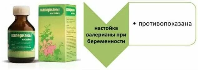 Валериану можно беременным пить в таблетках. Валериана при беременности 2 триместр. Валериана в таблетках инструкция. Валериана в таблетках при беременности 1 триместр. Валерьянка для стресса.