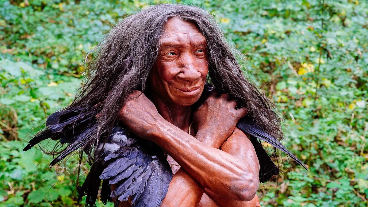 Неандерталец это. Homo sapiens neanderthalensis. homo neanderthalensis(неандертальский). денисовец древний человек. хомо неандерталец женщина.