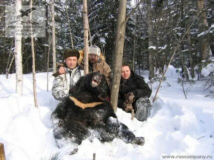 Охота на медведя в берлоге