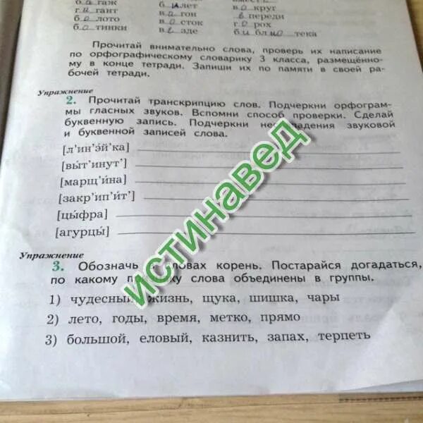 2 сделай буквенную запись слов. Буквенная запись слова. буквенная запись слова зайчонок. что такое буквенная запись слов 3 класс. что такое буквенная запись слов 2 класс.