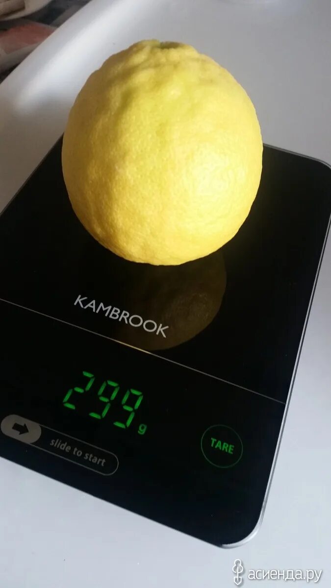 Вес 1 лимона. Вес среднего лимона. Лимон 1 шт.. Вес одного среднего лимона. Лимон вес 1 шт.