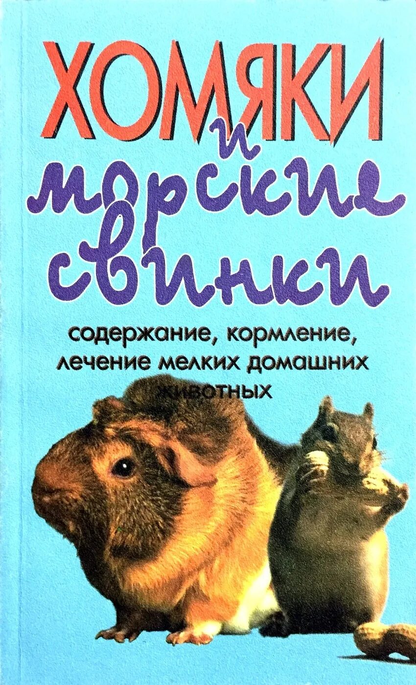 Книга хомячки. Хомяк с книгой. Художественные книги про хомяков. Хомяк с книжкой. Книги о хомяках для детей.