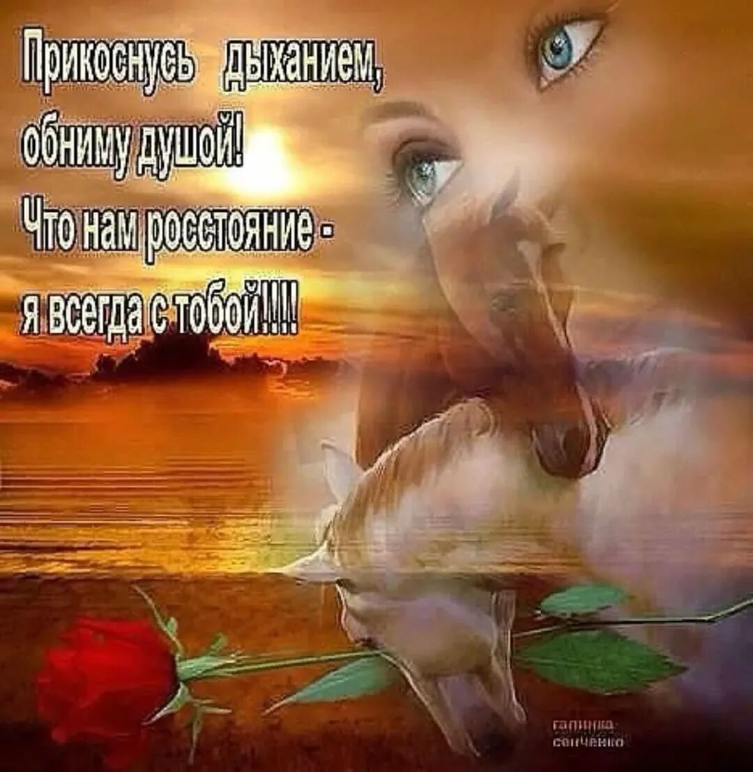 Стихи утром мужчине на расстоянии. Открытки любимому мужчине. Открытки с нежностью для мужчины. Открытки милому мужчине. Открытки для любимого мужчины на расстоянии.