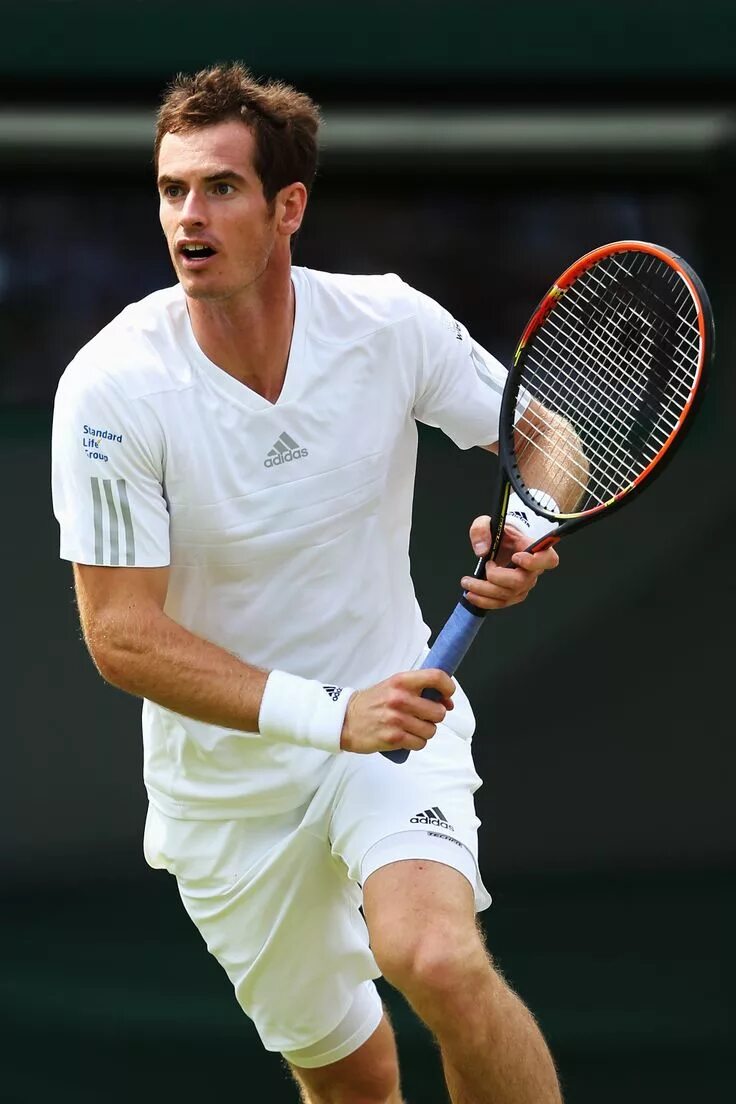 Теннис мужчины. Andy Murray. Марк МАККОРМАК теннисист. Лаун теннис. Чарльз пул теннисист.