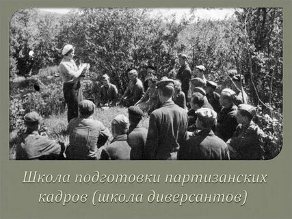 Школа партизан
