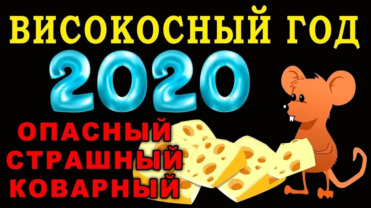 Високосный год приносящий. Високосный год 2020. Високосные года с 2020 года. Высокосный или високосный год 2020. Високосный год картинки.