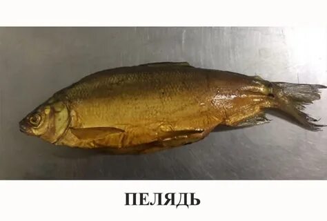 Пеленный