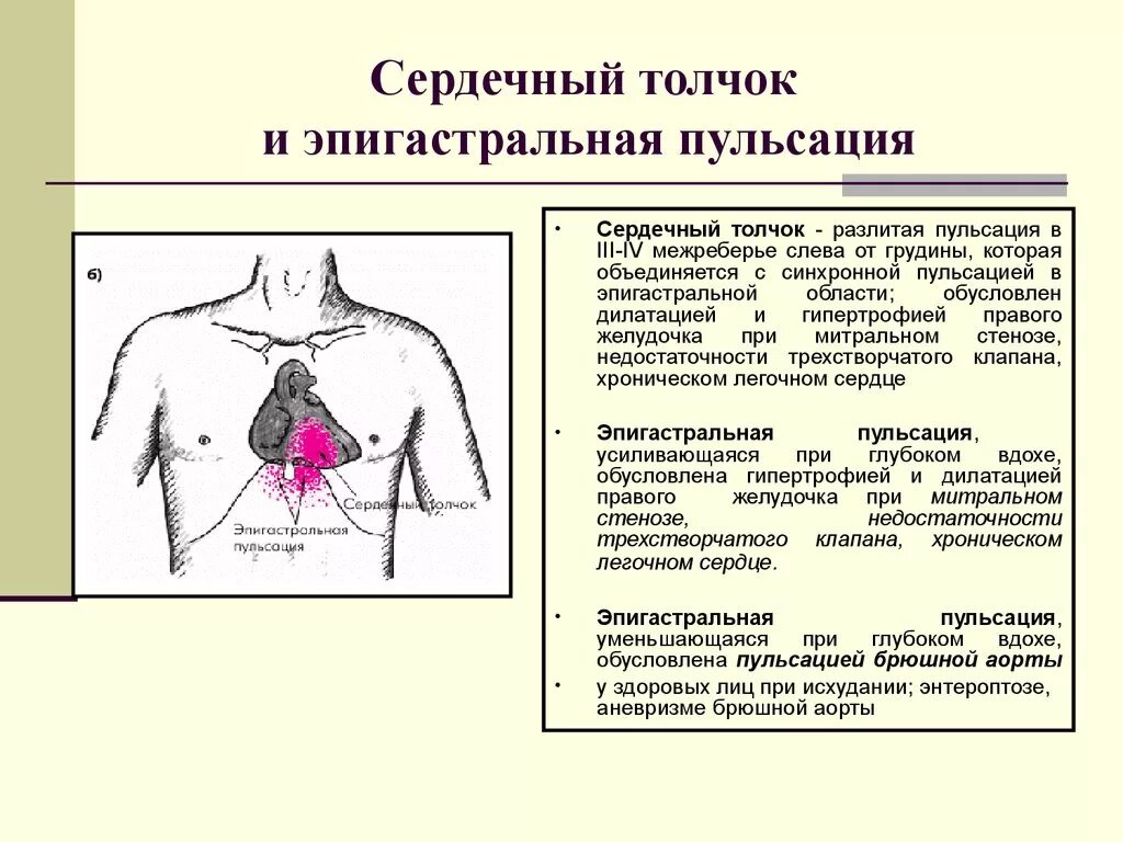 Эпигастральная пульсация причины. Печеночная эпигастральная пульсация. Пульсирует в грудной клетке. Сердечный толчок и эпигастральная пульсация.