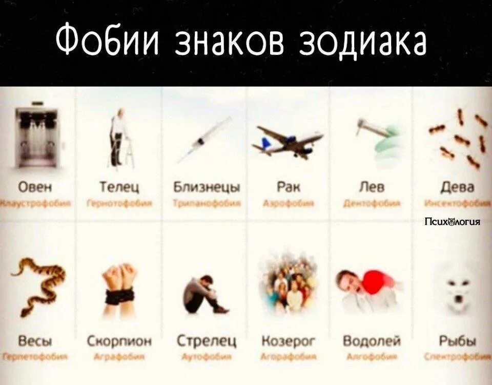 Людей какого знака больше всего. По знаку зодиака. боязни знаков зодиака. страхи знаков зодиака. фобии по знакам зодиака.