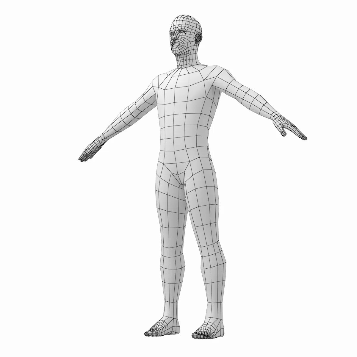 Модель человека. Макет человека. Полигональная модель человека. 3д модель человека. Человек в компасе