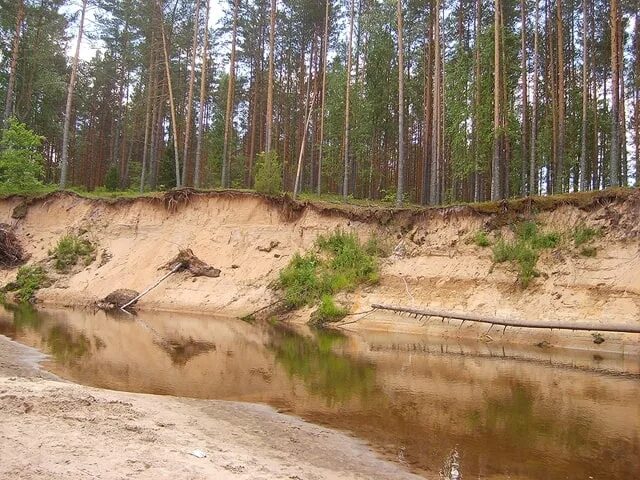 Аллювиальные дерновые почвы. Почвы аллювиальных речных Долин. Речные наносные почвы. Большая Кокшага почвы. Почвы долины рек