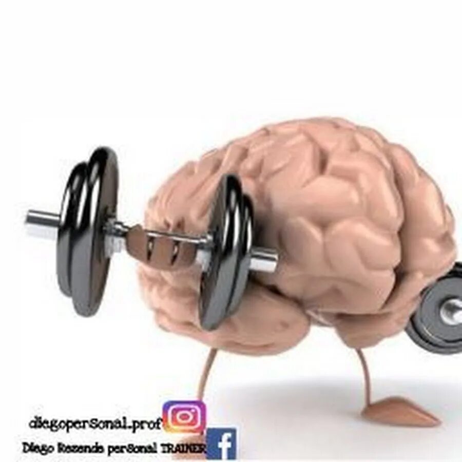 Muscle memory