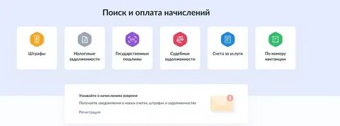 Что можно оплатить через госуслуги
