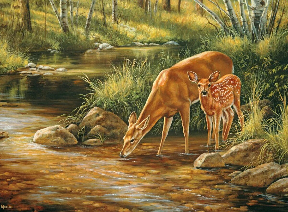 Картины рисунки животных