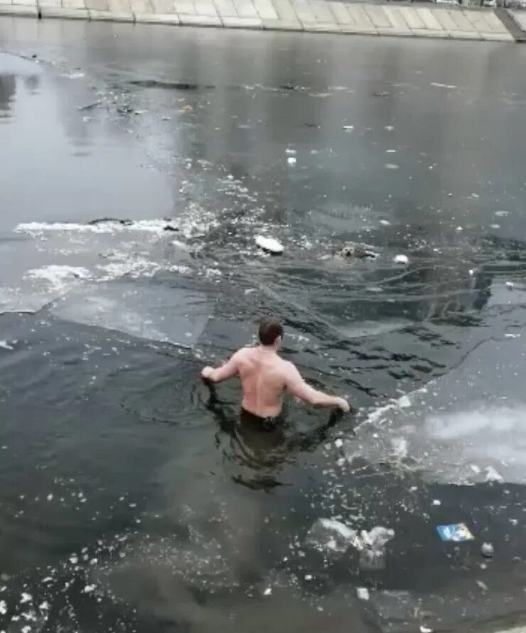 Парень спас тонущую девушку. Спас собаку из ледяной воды. парень в ледяной воде.