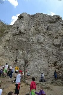 Горе барсук