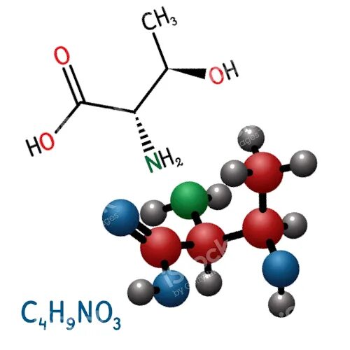Лизин треонин. Треонин аминокислота формула. Треонин аминокислота формула структурная. Треонин картинки. Треонин это