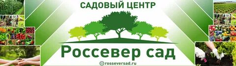 Сайт сад питомник
