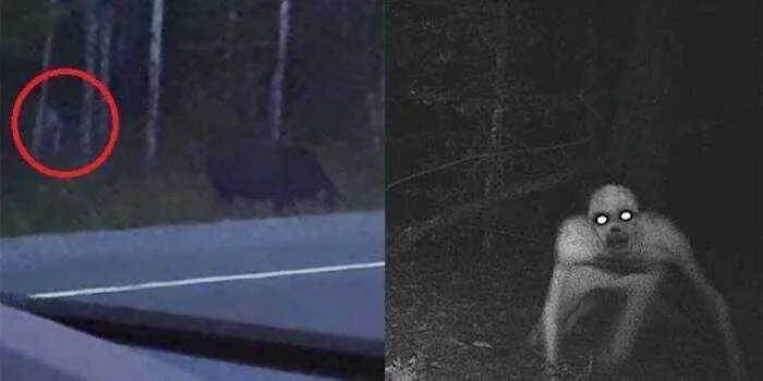 Реальные мистические существа. Топ 5 снятых на камеру инопланетян. Scp монстры светофороголовый. Пришельцы на камерах видеонаблюдения. Камера следит монстров.