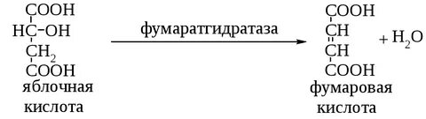 Дегидратация яблочной кислоты