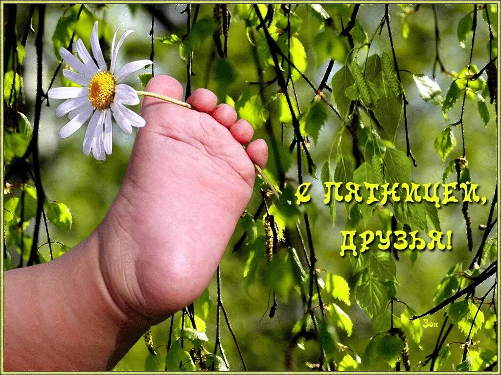 Прогулка по майскому лесу дарит много радостных