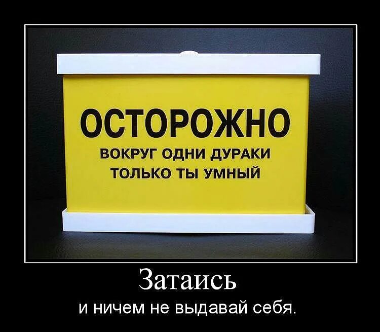 Вокруг глупо. Шутки про дураков и умных. Умные приколы. Дурак демотиватор. Умные демотиваторы.