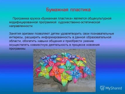Программа пластика