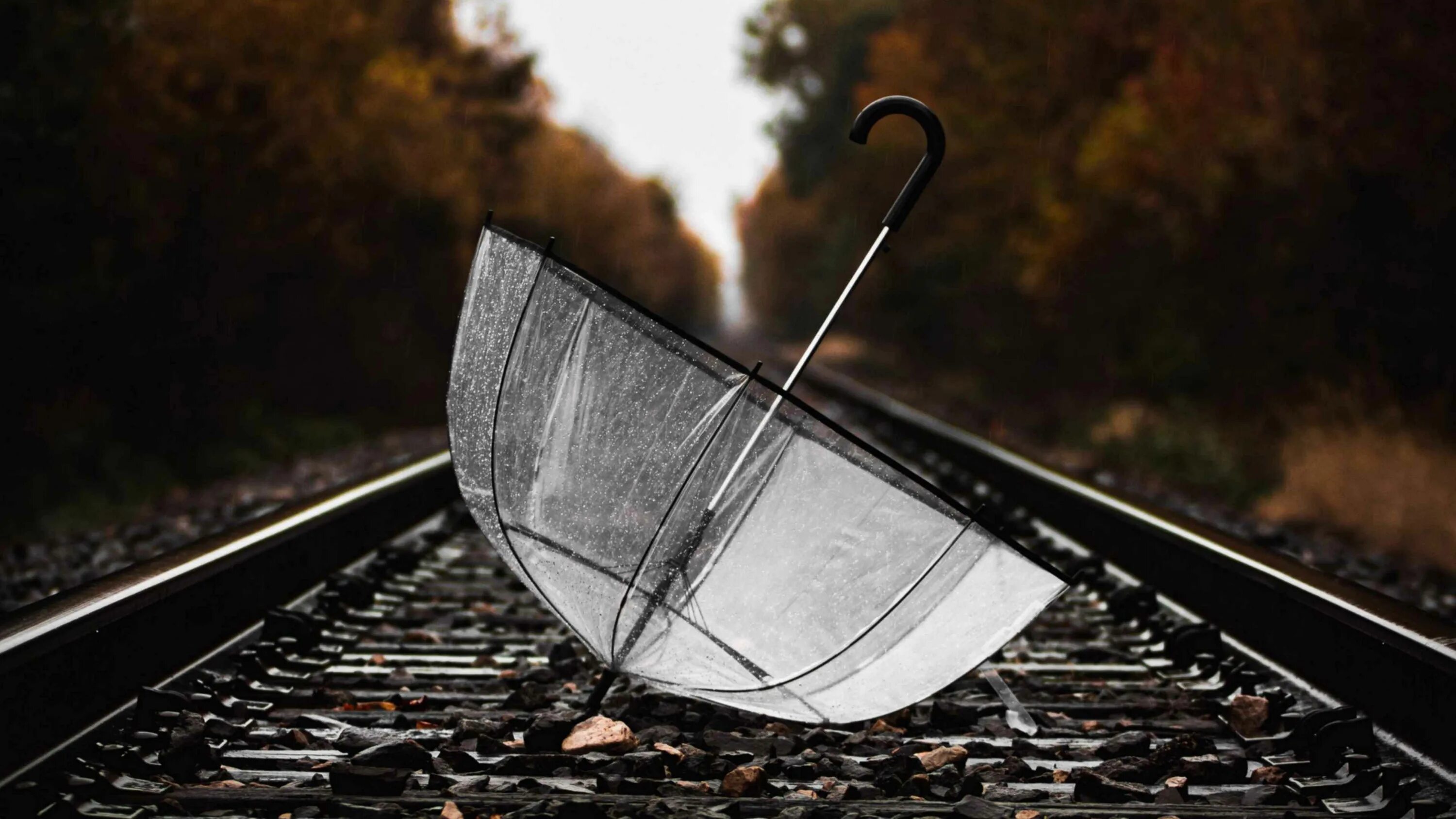 Rain track