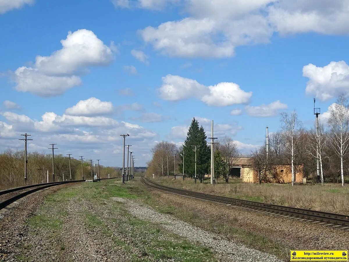 Село кандаурово губкинский район улица садовая 11. Ст чаплыжное. Кандаурово губкинский. Кандаурово колыванский район. Село архангельское губкинский район.