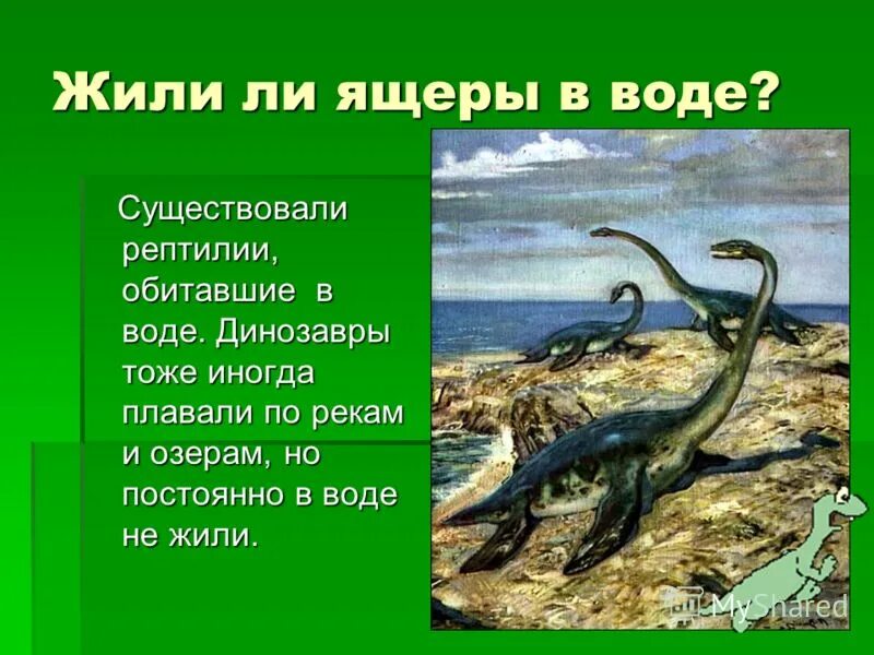 Рептилии живущие в воде. Динозавры живущие в воде. Динозавры которые жили в воде. Динозавры живущие в воде названия. Древние водные рептилии.