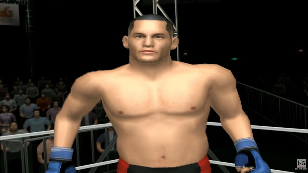 Pride игра. Pride fc ps2. бойцы pride. pride fighting championships. pride игра на пк.