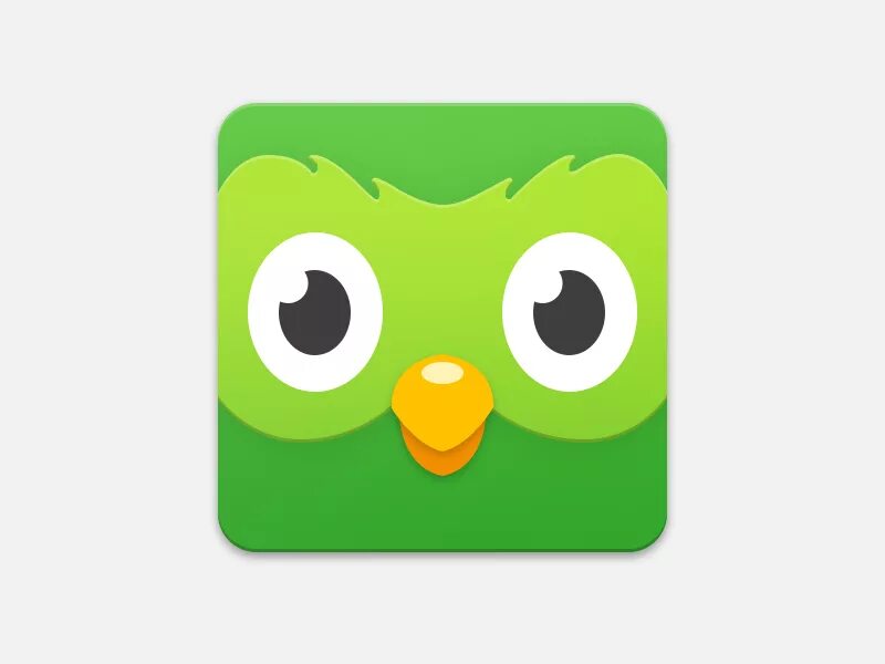 Логотип дуолинго. Значок duolingo. иконка приложения duolingo. зеленая сова дуолинго. птичка дуолинго.