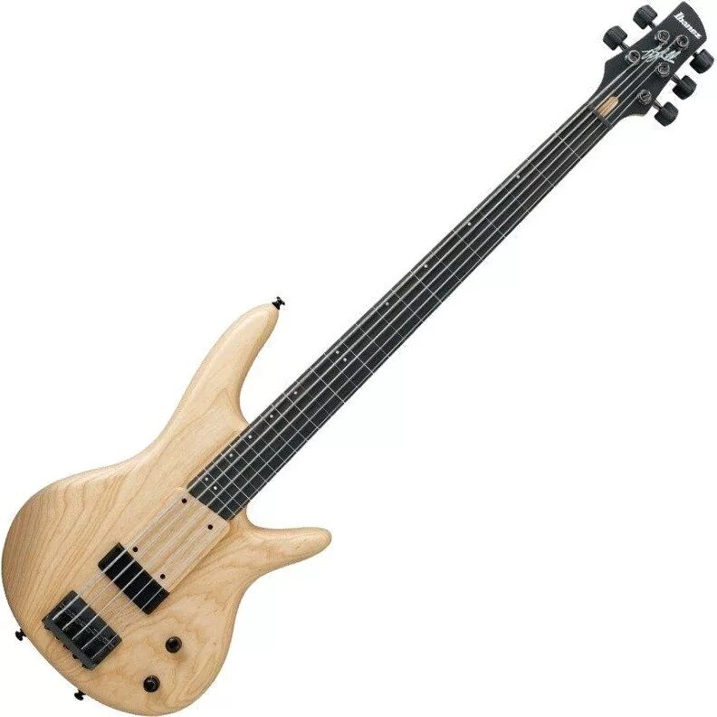 4 струнная бас гитара. 5 струнный бас ibanez. бас гитара ибанез. ibanez bass 4 string. ibanez 5 string bass.