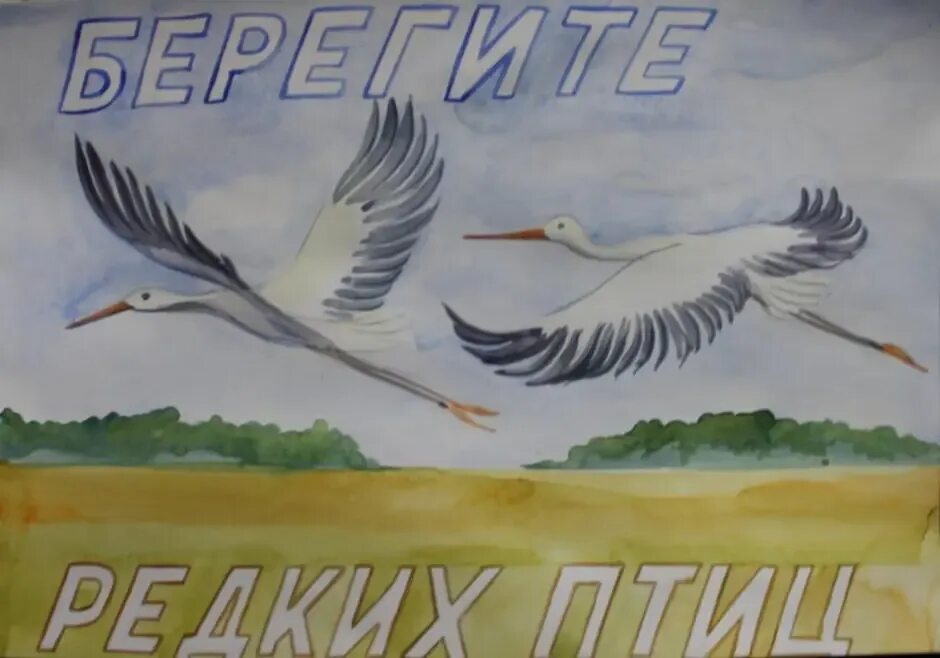 Берегите птиц берегите природу. Рисунок на тему берегите птиц. плакат люблю тебя мой край родной. берегите птиц рисунок на конкурс. плакат любите природу с птицами.