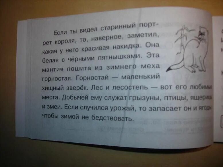 Блицконтроль скорости чтения и понимания текста. Блицконтроль беденко 2 класс.
