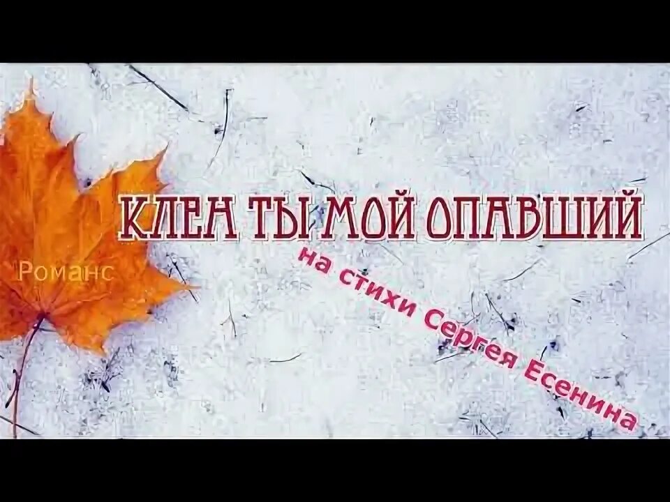 Клён ты мой опавший табы для гитары. Клён ты мой опавший слова. Слова песни клен ты мой опавший. Клён ты мой опавший есенин стихи. Клён ты мой опавший ноты для гитары.