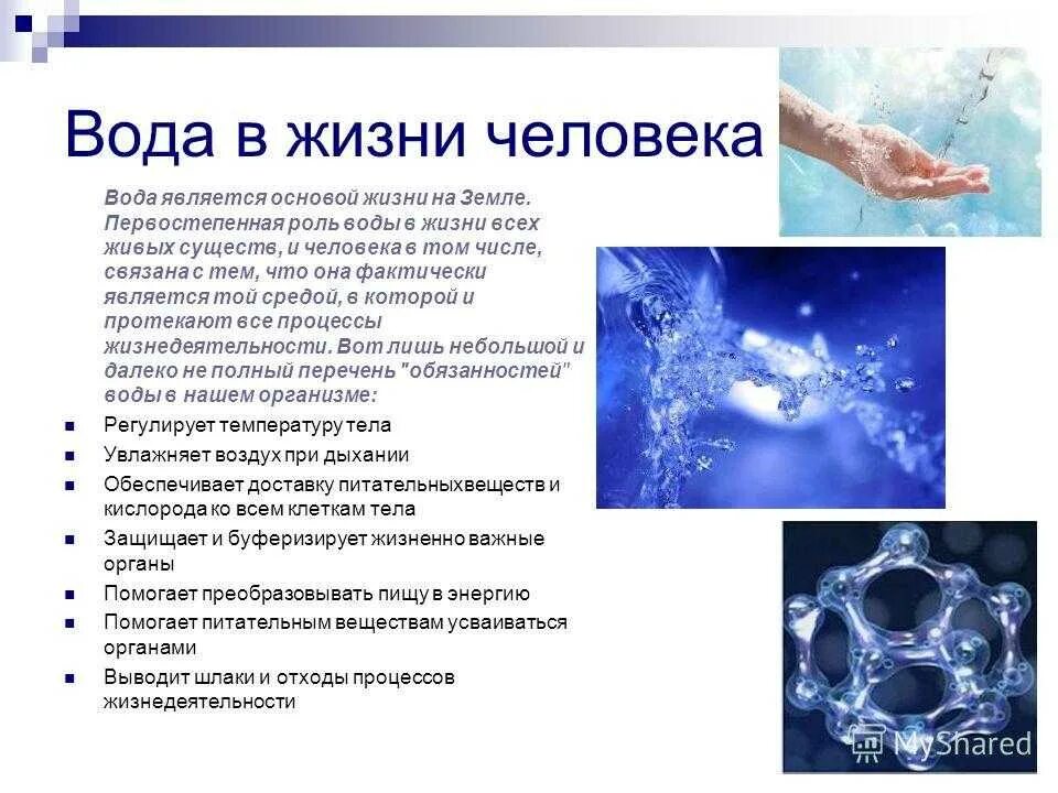 Вода и ее значение для человека. Вода в жизни человека. роль воды в жизни человека. значимость воды в жизни человека. значение воды в жизни человека.