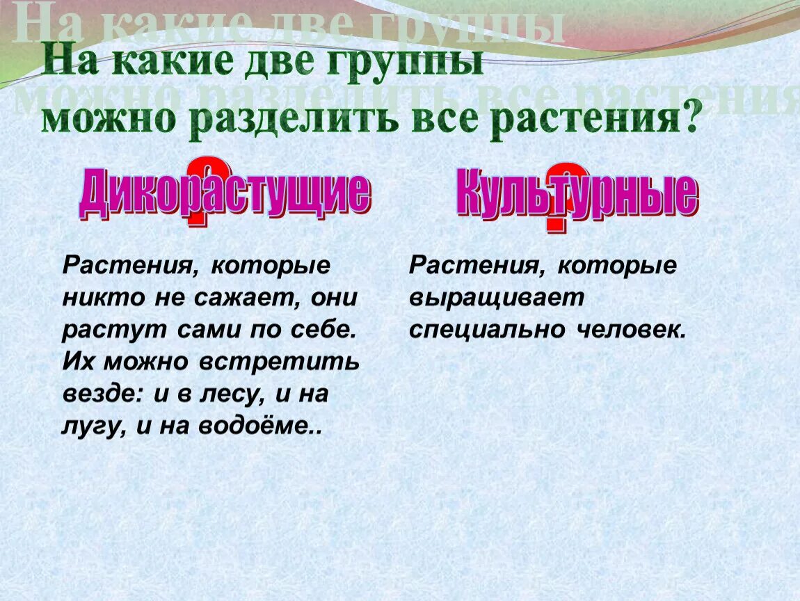 На какие две группы можно разделить растения. На какие группы можно разделить все растения. Культурные растения делятся на группы. На какие группы делятся дикорастущие растения.