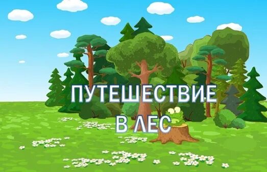 Леса для дошкольников. Надпись путешествие в лес. Лес для детей дошкольного возраста. Детям о лесе в детском саду. Голос леса для детей