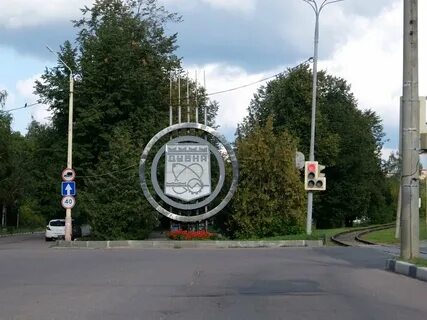 Тверь дубна