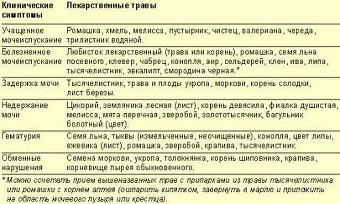 Народное лечение цистита у женщин. Лечение цистита народными средствами. Народные средства при цистите. Народное лечение цистита у женщин. Народные средства от цистита у женщин.