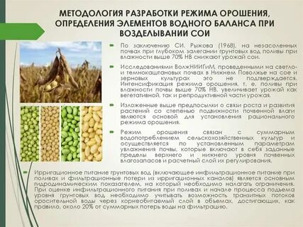 Мировой лидер по выращиванию сои