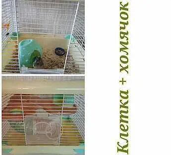 Новый шифр в хомяке 04.07