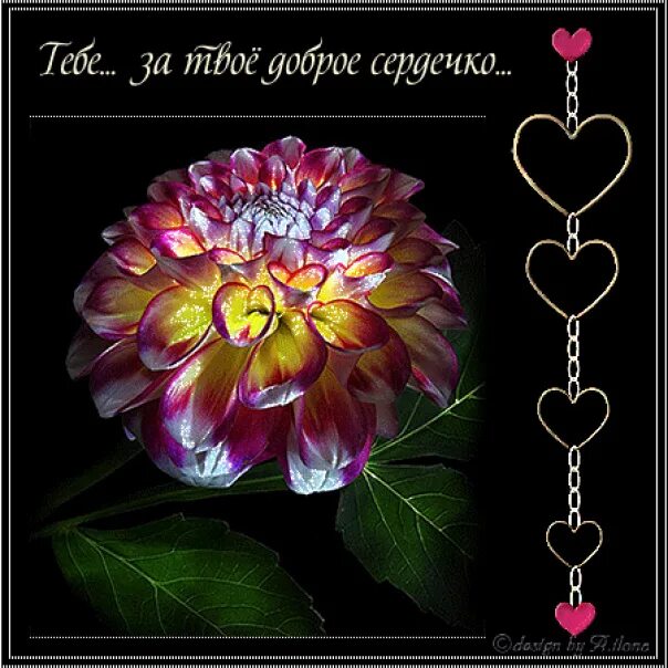 Самому доброму сердечку. За твоё доброе сердечко. доброму сердечку. тебе за твое доброе серд. спасибо доброе сердечко.