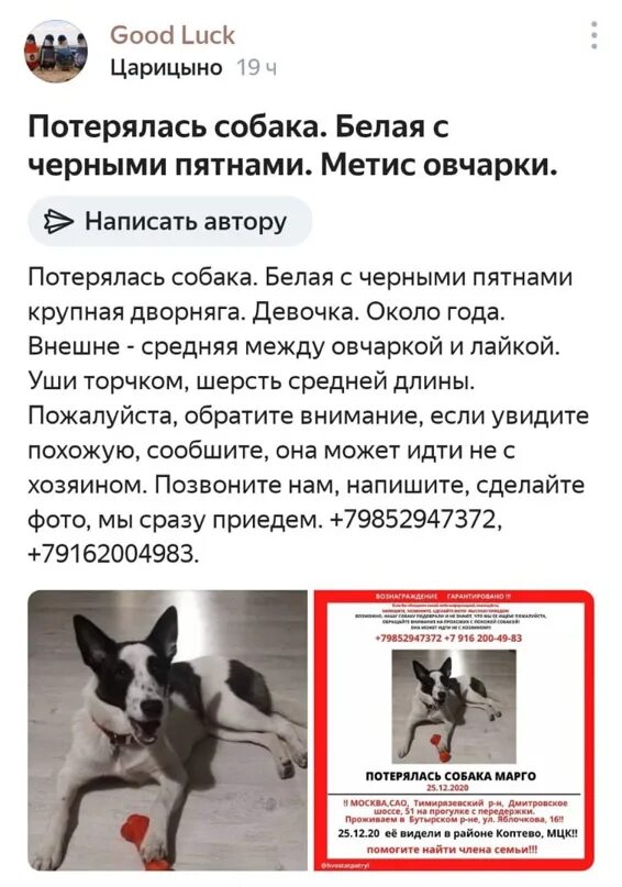 Можно ли в царицыно с собакой. Можно ли в царицыно с собакой. Царицыно иконка. Царицыно собачья площадка. Парк сосенки царицыно собачья площадка.