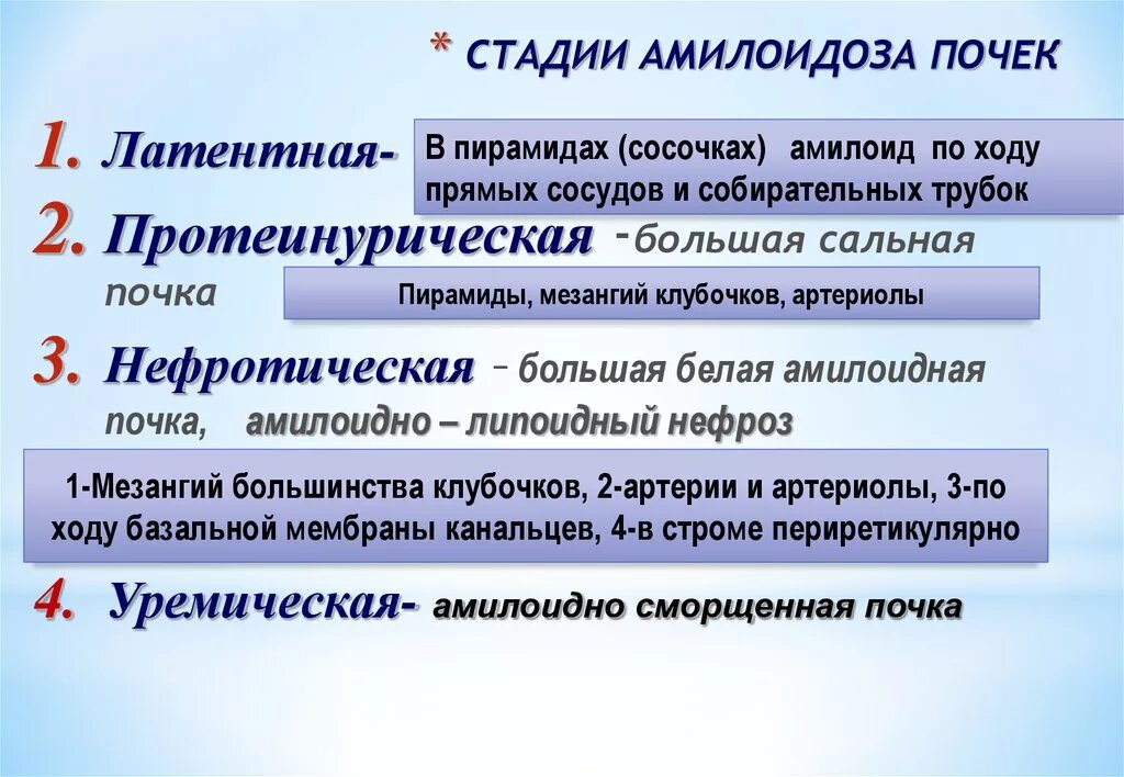 Стадии амилоидоза. Стадии амилоидоза почек.