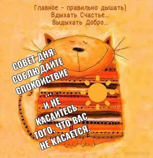 Смешные добрые картинки поднять настроение
