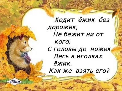 По лесу ежик шел