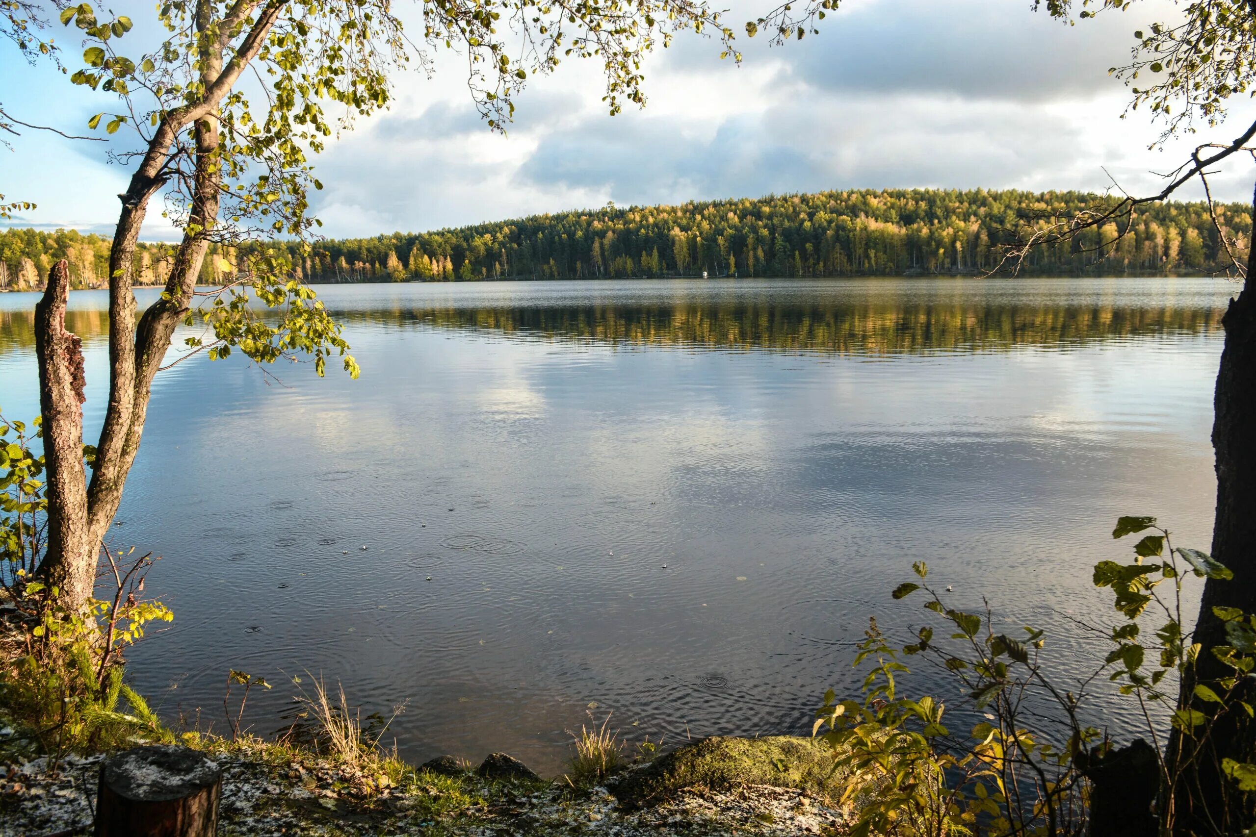 Волчихинское водохранилище Ревда. Волчихинское водохранилище Екатеринбург. Мариинское водохранилище Свердловская. Мариинское водохранилище плотина. Озера свердловская область рыбалка