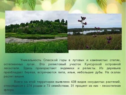 В какой природной зоне находится пермский